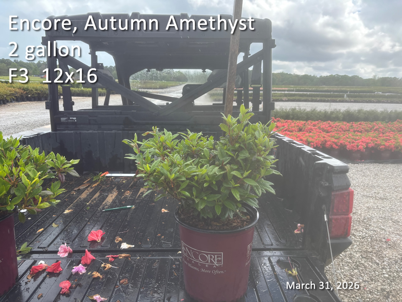 gallery/eamt2 f3 mar31.jpg